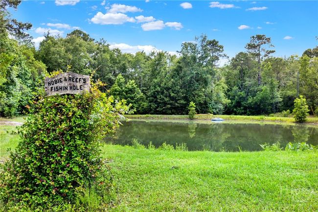 Pond | Image 43