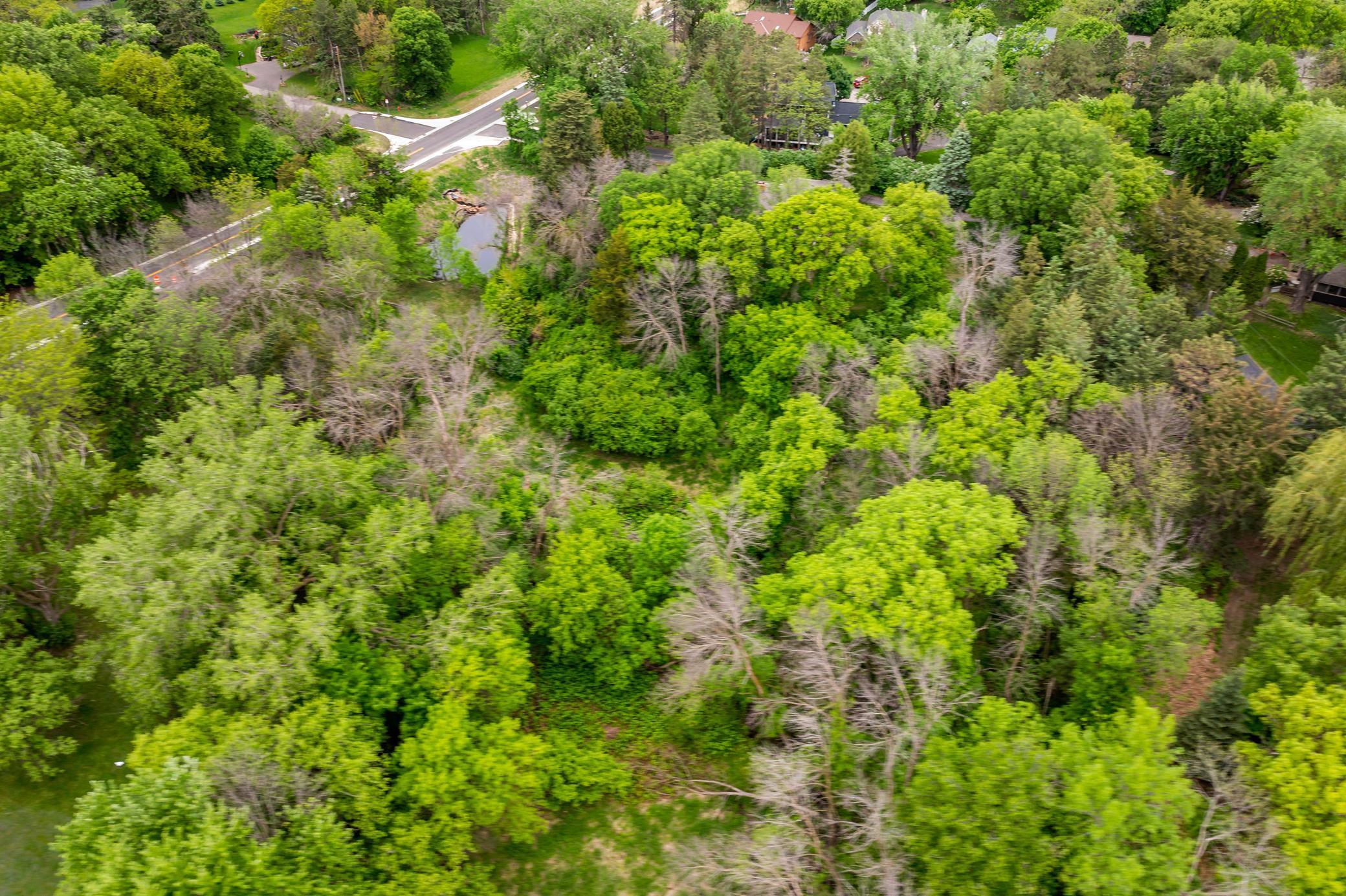 Land in Chanhassen 4