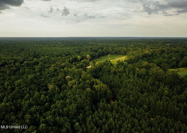 Castens Creek Pics-51 | Image 22