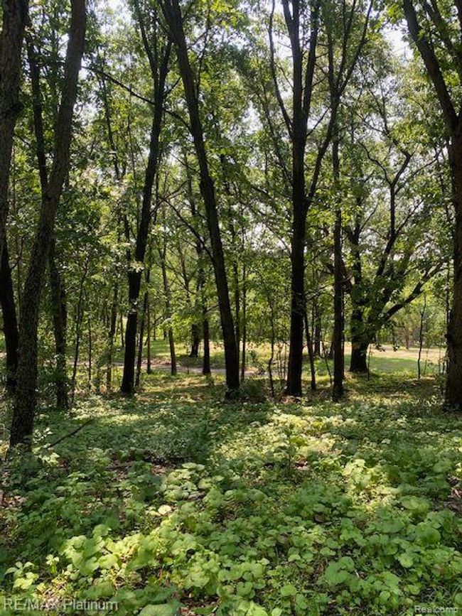 6 Sleaford Parcel 6   2.1 Acres Road, Home with 0 bedrooms, 0 bathrooms and null parking in Howell Township MI | Image 18