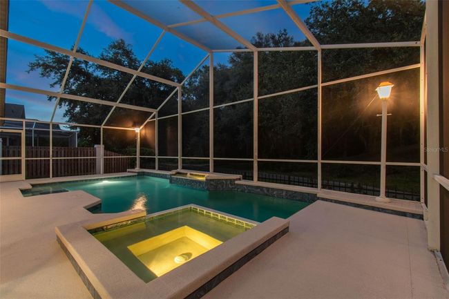 17515 Edinburgh Dr, House other with 4 bedrooms, 4 bathrooms and null parking in Tampa FL | Image 69