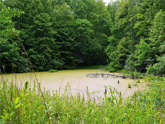 1440 Webb Mountain Rd, Home with 0 bedrooms, 0 bathrooms and null parking in Boones Mill VA | Image 7