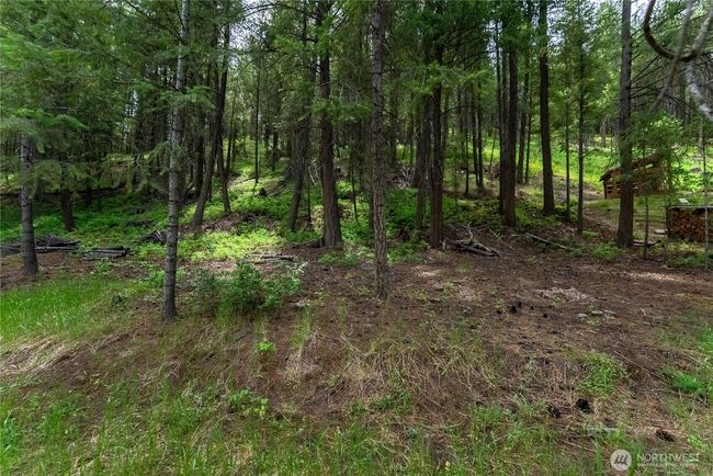 7 Howerton Rd, Home with 0 bedrooms, 0 bathrooms and null parking in Twisp WA | Image 14