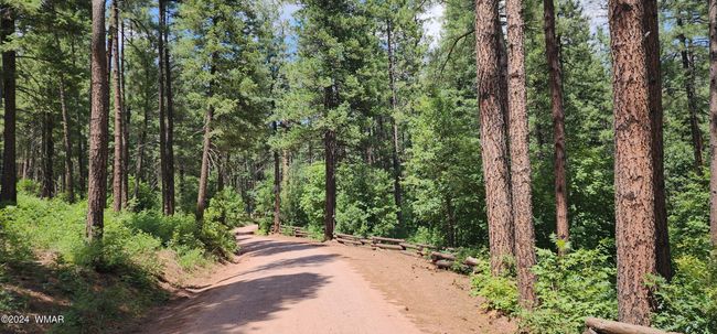 road to See | Image 36