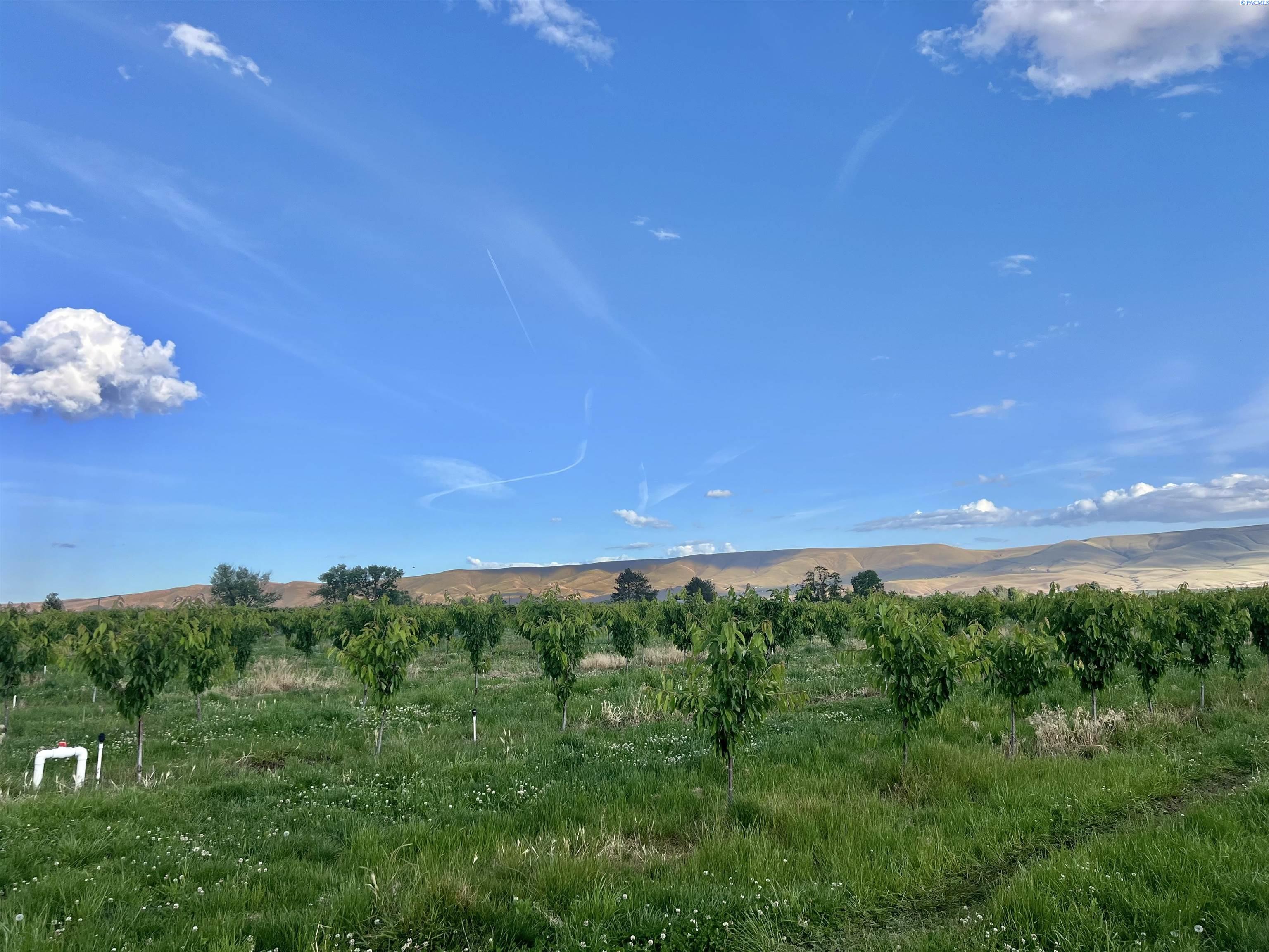 Land in Grandview 3