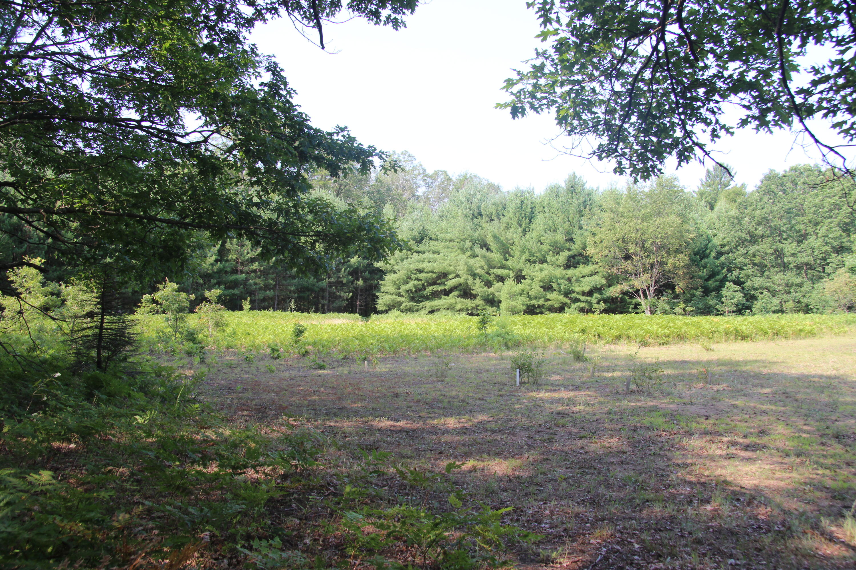 Oak Ave, White Cloud, MI 49349