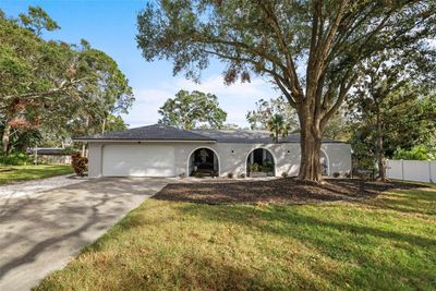 20 Oakwood Court, House other with 4 bedrooms, 2 bathrooms and null parking in Palm Harbor FL | Image 1