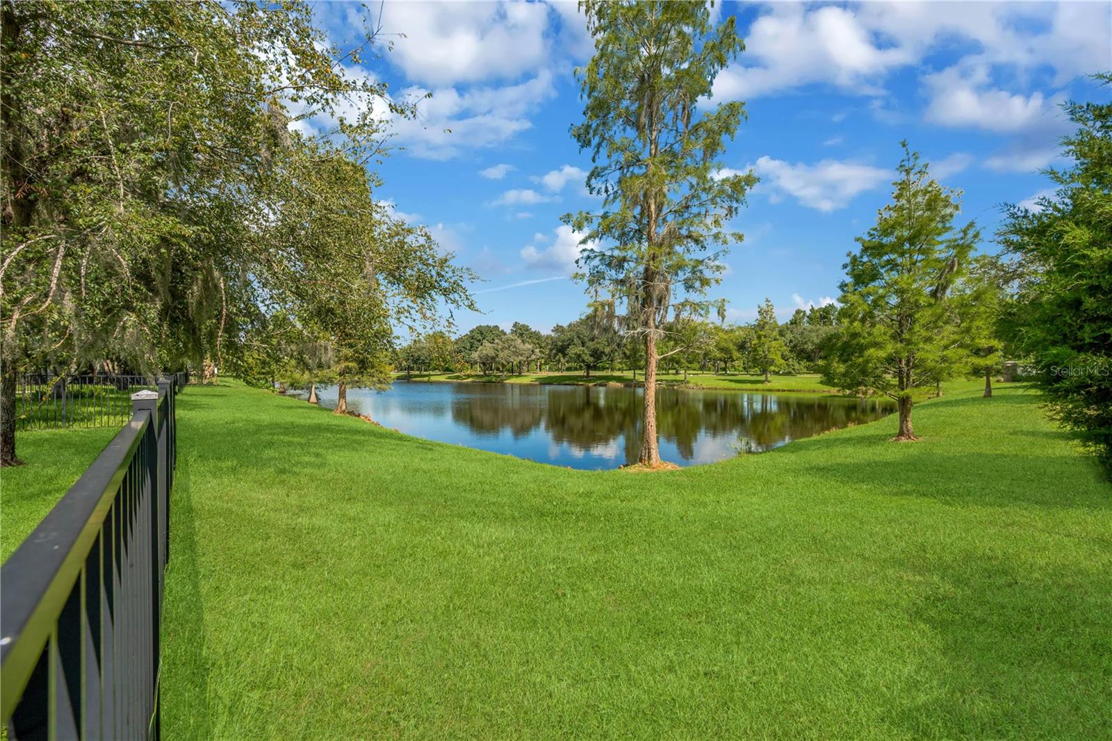 Residential in LAND O LAKES 3