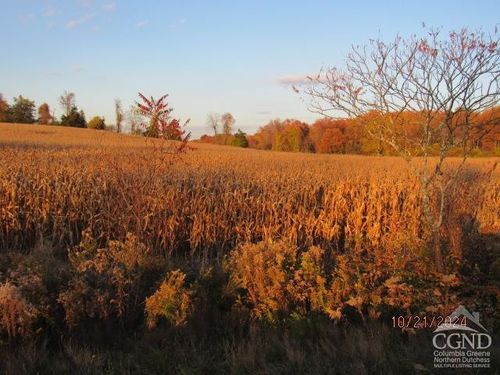  352 Schneider Road, Livingston, NY, 12541 | Card Image