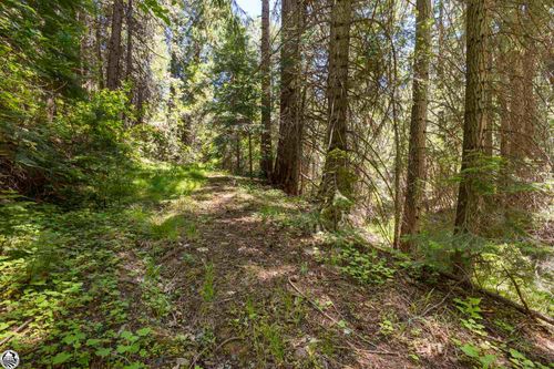  North Fork, Long Barn, CA, 95335 | Card Image