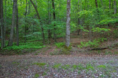 00 Laurel Mountain Dr, Brasstown, NC, 28902 | Card Image