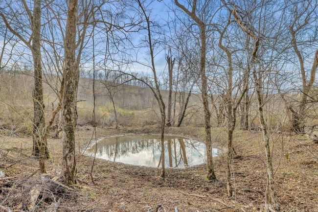 0 Fishing Ford Rd, Home with 0 bedrooms, 0 bathrooms and null parking in Belfast TN | Image 25