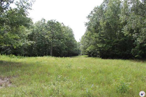 TBD Cr 4670, Dekalb, TX, 75559 | Card Image