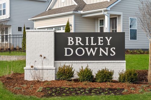 341 Mammoth Trace, Smyrna, TN, 37167 | Card Image