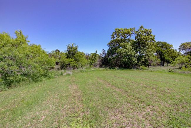 View of the verdant side yard. | Image 29