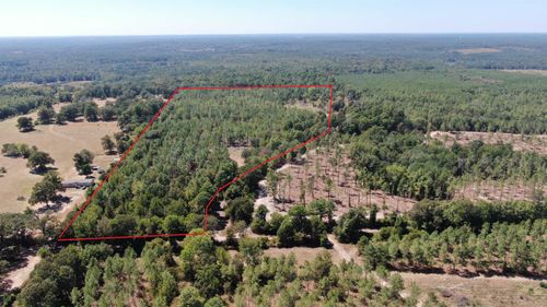 TBD Trinity Rd, Jefferson, TX, 75650-000 | Card Image