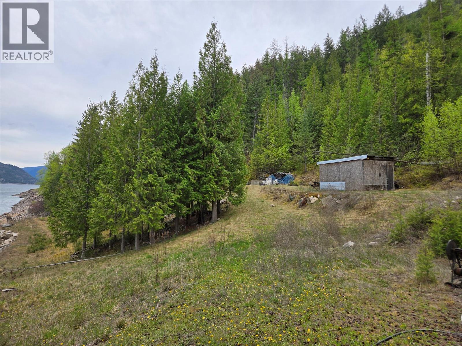 Residential in Castlegar 3
