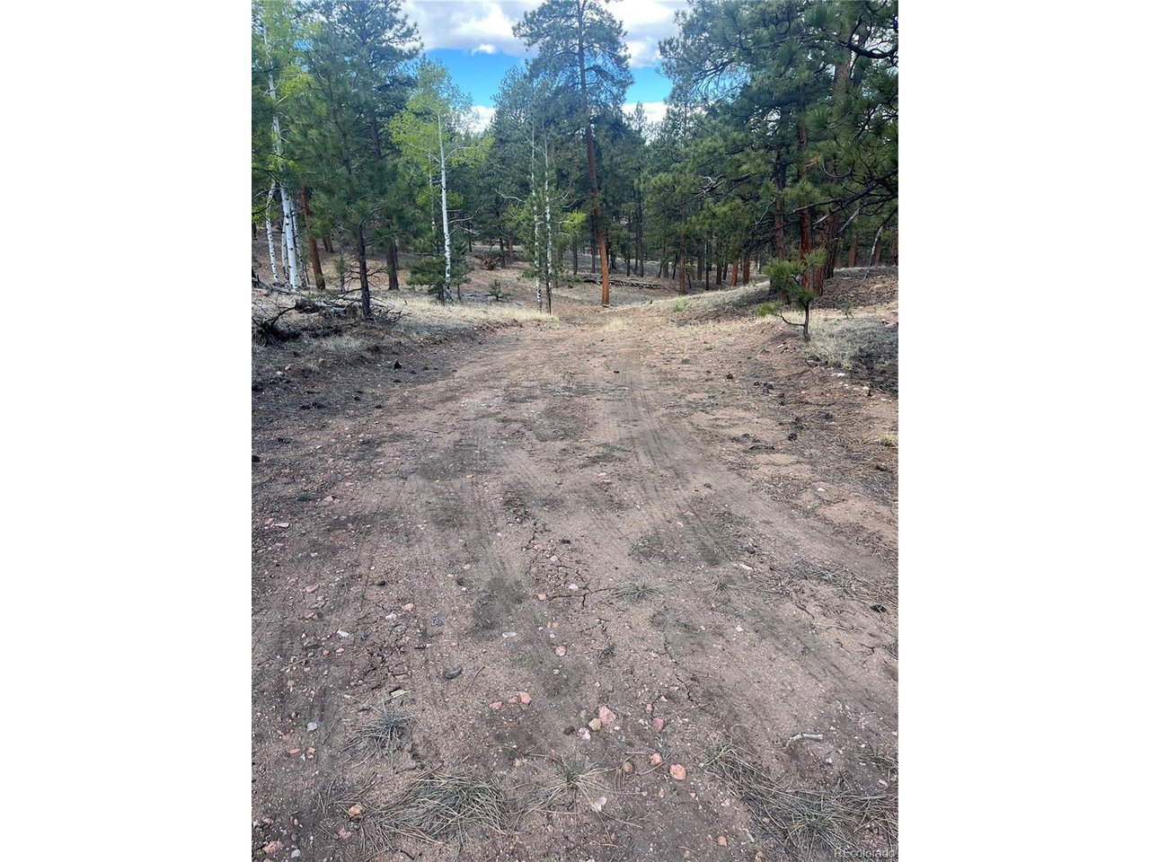 Land in Westcliffe 2