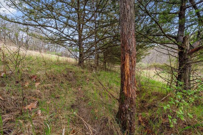 36480 Bouska Rd, Home with 0 bedrooms, 0 bathrooms and null parking in Prairie Du Chien WI | Image 23