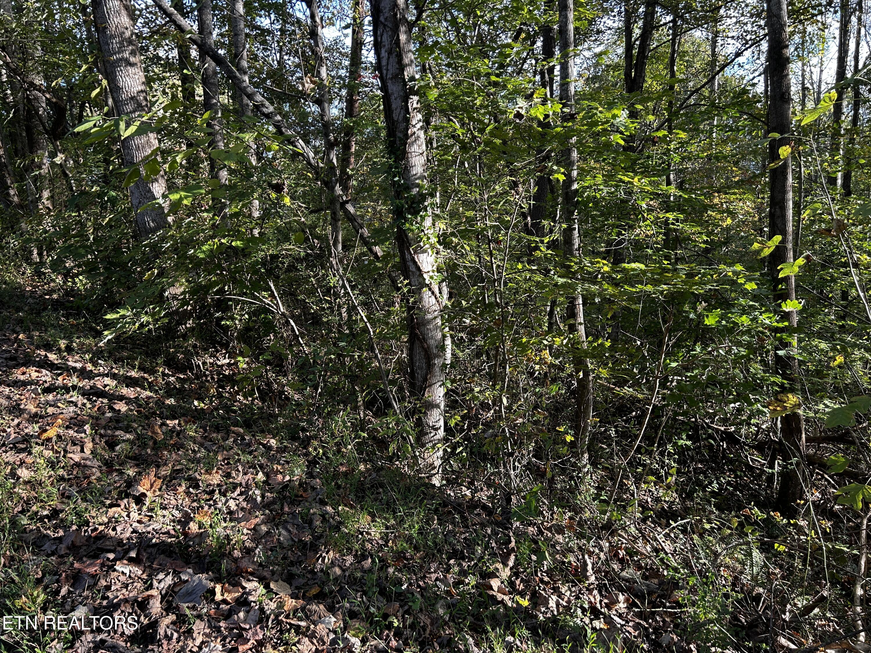 Land in Clinton 4
