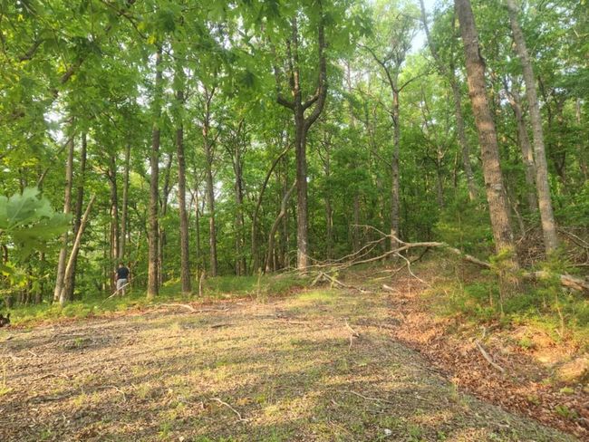 161 Sharp Mountain Pkwy, Home with 0 bedrooms, 0 bathrooms and null parking in Jasper GA | Image 4
