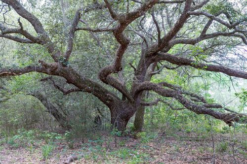 TBD Fm 1094, New Ulm, TX, 78950 | Card Image
