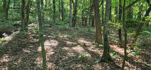 Lot 71 Serpentine Dr, Columbus, NC, 28722-6827 | Card Image