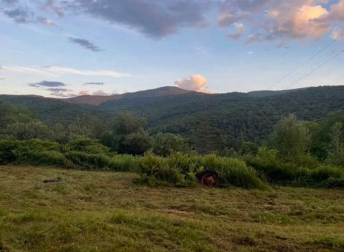 00 Fassett Hill Rd, Hancock, VT, 05748 | Card Image