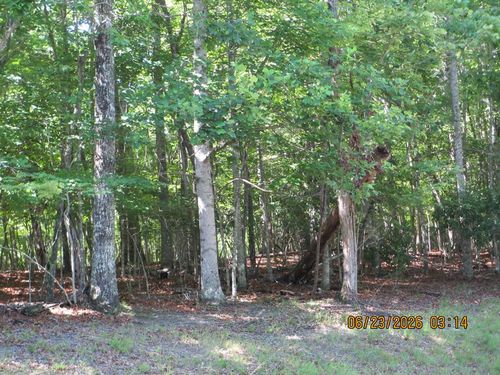 Lot 8 Quail Cove Cir, Warne, NC, 28909-7734 | Card Image