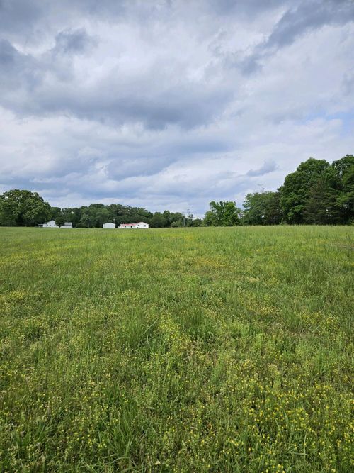 0 County Road 800, Flat Rock, AL, 35966 | Card Image