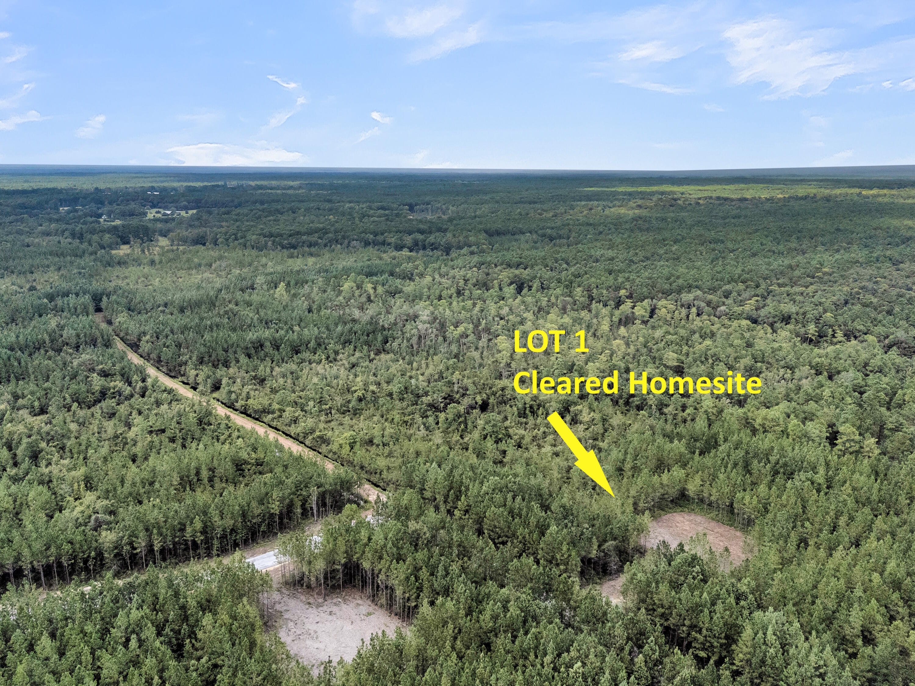 Land in McClellanville 3