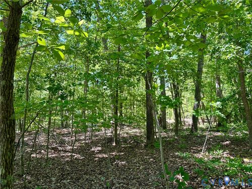 Lot 6 Buffalo Church Rd., Pamplin, VA, 23958 | Card Image