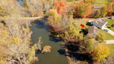 Aerial View of Home and Wetlands Behind | Image 3