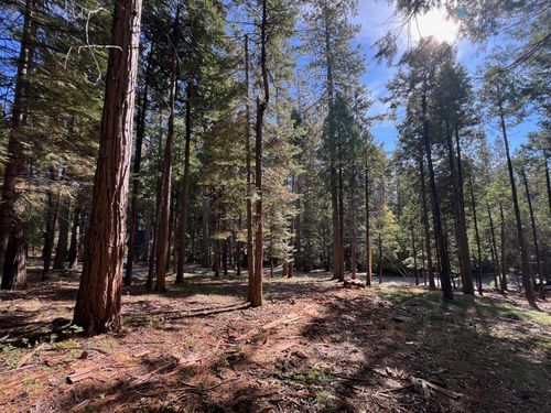 646 Dean Way, Arnold, CA, 95223-9413 | Card Image