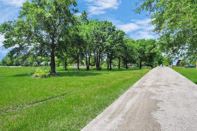 A private drive, lined with trees, leads to the property. | Image 30