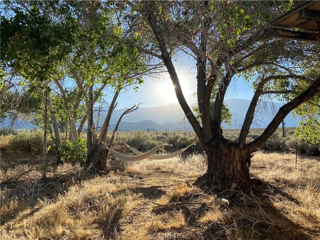 330 Sage Flats Dr, House other with 3 bedrooms, 2 bathrooms and 2 parking in Olancha CA | Image 39
