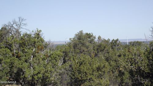 731 E Wampum Ln, Williams, AZ, 86046 | Card Image