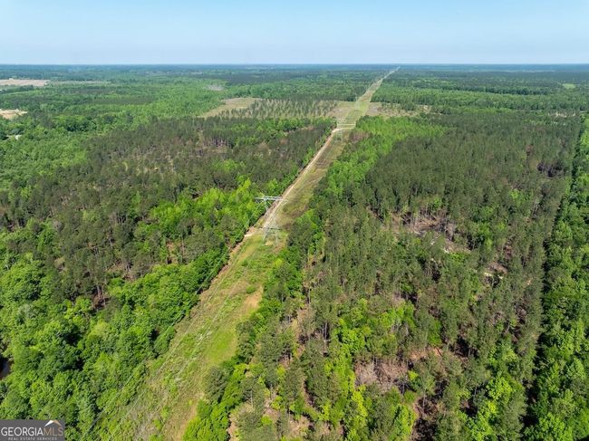 6053 Sun Hill Grange Rd, Home with 0 bedrooms, 0 bathrooms and null parking in Davisboro GA | Image 128