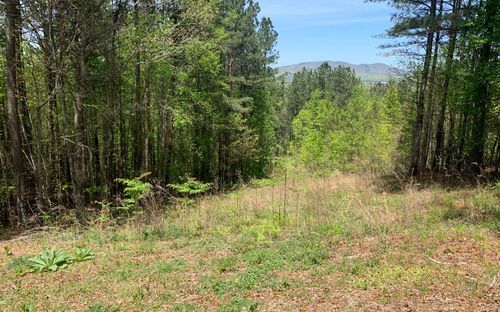 LOT 28 Loftis Mountain Ct, Blairsville, GA, 30512-8708 | Card Image