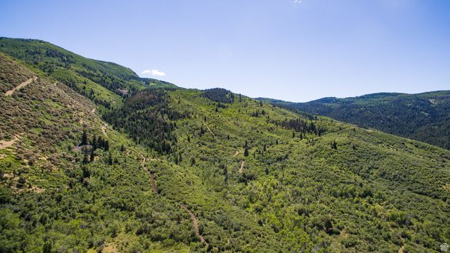Property view of mountains with a view of trees | Image 9