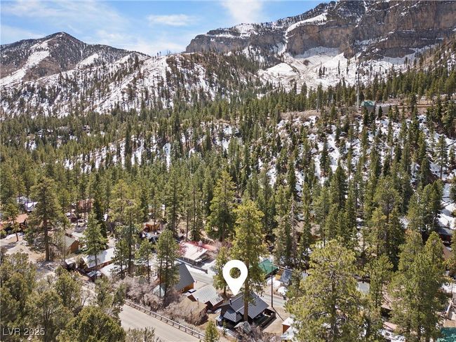 4578 Yellow Pine Ave, House other with 1 bedrooms, 1 bathrooms and null parking in Mount Charleston NV | Image 51
