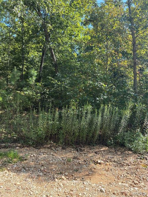 TBD Liam Lane, Ellington, MO, 63638 | Card Image