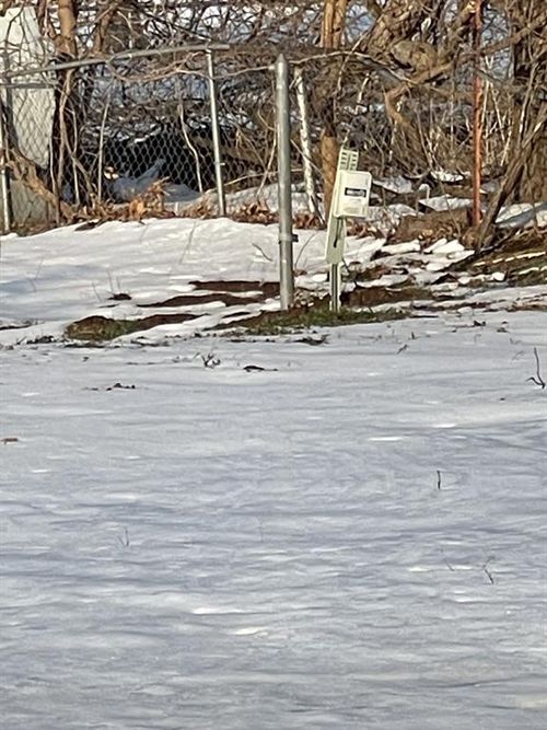 501 Bulldog St, Lexington, OK, 73051-9053 | Card Image