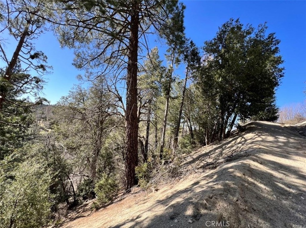 Land in Cedar Glen 2