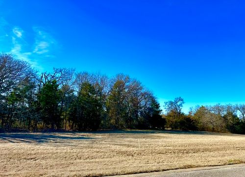 Lot 15 Dublin Cir, Gordonville, TX, 76245-2971 | Card Image