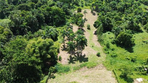 PR-992 KM 5.7 Bello Sitio Mameyes, Lot 9, LUQUILLO, PR, 00773 | Card Image