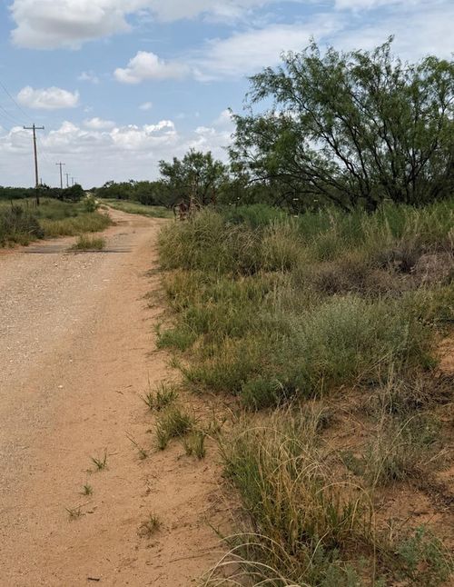 4285 County Road 167, Colorado City, TX, 79512-2319 | Card Image