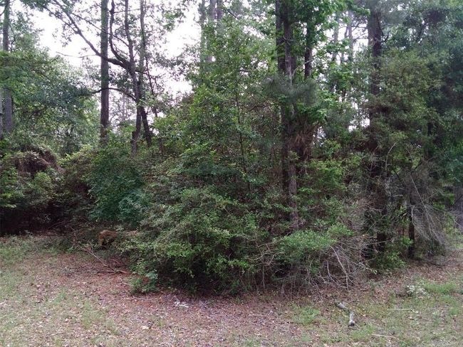 13 Moose Dr, Home with 0 bedrooms, 0 bathrooms and null parking in Onalaska TX | Image 23