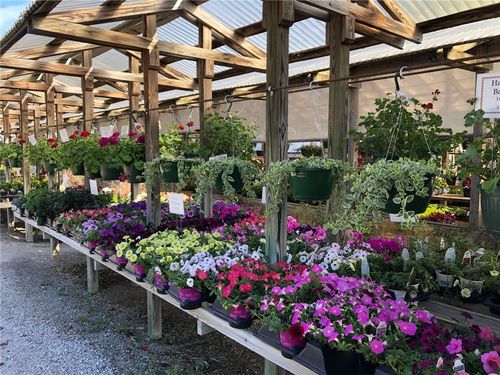 2798 Highway 23 N, Eureka Springs, AR, 72631-9373 | Card Image