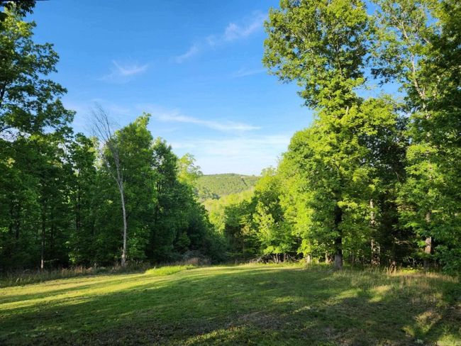3227 Red Bluff Rd, House other with 1 bedrooms, 1 bathrooms and null parking in Marshall AR | Image 7
